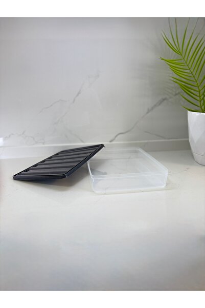 Albergio 3-Piece 28X22 Plastic Storage Container with Lid – Microwave and Deep Freezer Compatible, Refrigerator Organizer