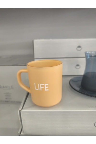 Rakle Life Written Colorful Glass Mug – Orange | 260ml