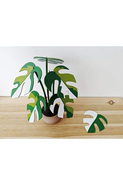 genomera Raphidaphora Plant Shaped Coaster