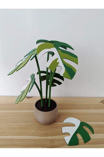 genomera Raphidaphora Plant Shaped Coaster