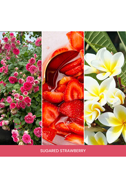 Yankee Candle Large Jar Scented Candle, Sugared Strawberries, 538gr.