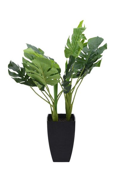 Koopman Artificial Monstera Palm Plant, Azay Design, rich in leaves, in tall black pot 65cm