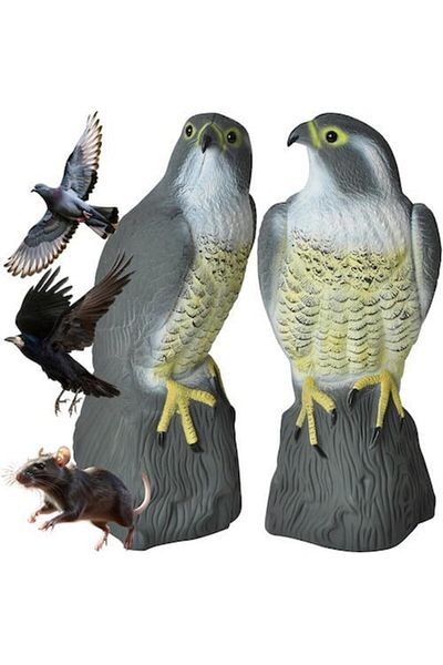 SMARTECH Artificial Decorative Falcon or Scarecrow for Birds, Starlings, Rodents, Mice