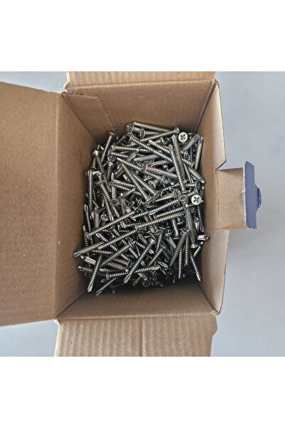 Selectron 3.9X38 YHB MUV Yıldız Havşa Başlı Matkap Uçlu Vida 1000 Adet