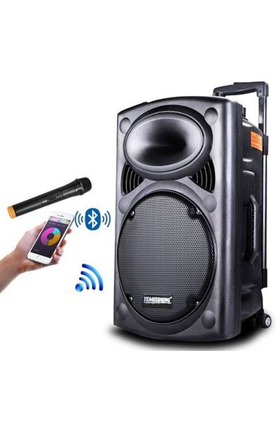 Temeisheng Active Portable Speaker 350w 12 Inch