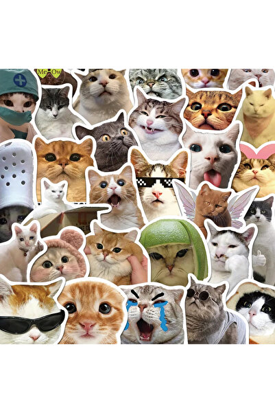 choice2 30 قطعة 10/30/50 قطعة ملصقات PVC على شكل قطة حب كاواي للأطفال ديكور ك...