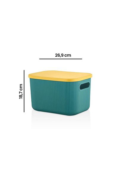 Lova Box with Shell Lid - 6 Lt - Asorti