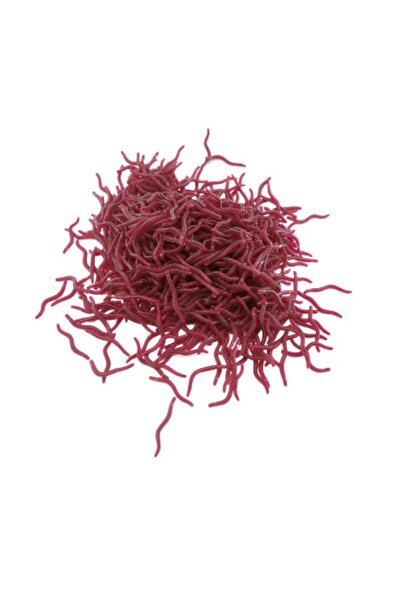 Choice 100pcs red 100pcs Red Worm Lure 3.5cm Lifelike Silica Gel Fishy Artifi...