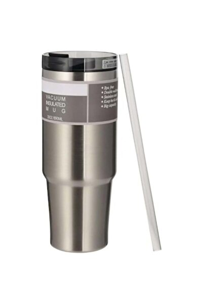 2DAYFIND Cana termos din otel inoxidabil cu capac si pai reutilizabil, 2DAYFIND, potrivita pentru bauturi cal