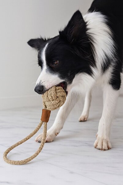 CasaPetra Köpek Oyun Topu İpli Sağlam ve Kopmaz Yapıda Köpek Oyuncağı