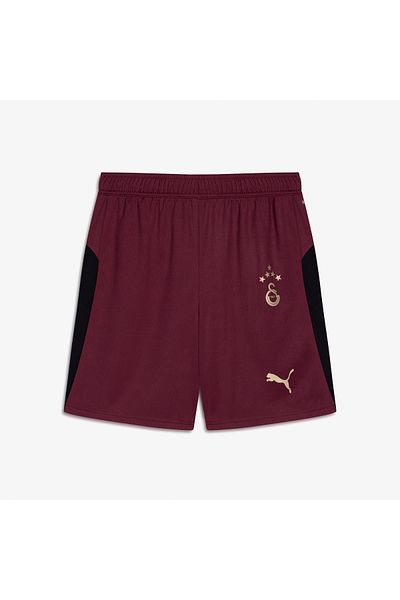 Puma Gsk Shorts Replica W/B W/Osp Men's Sports Shorts