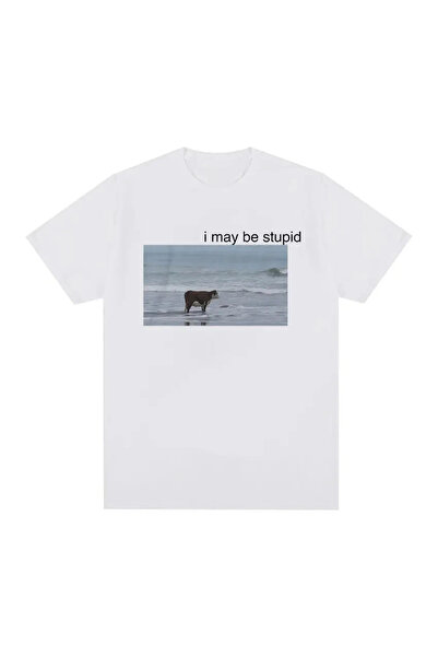 Tarzsokak Alb, pot fi o vacă prostă pe plajă. Meme amuzant.