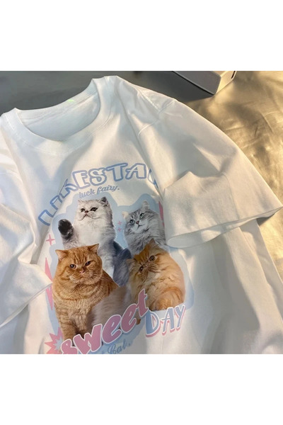 Tarzsokak Pisică albă super drăguță, dulce, mărime mare, coreeană, rotundă