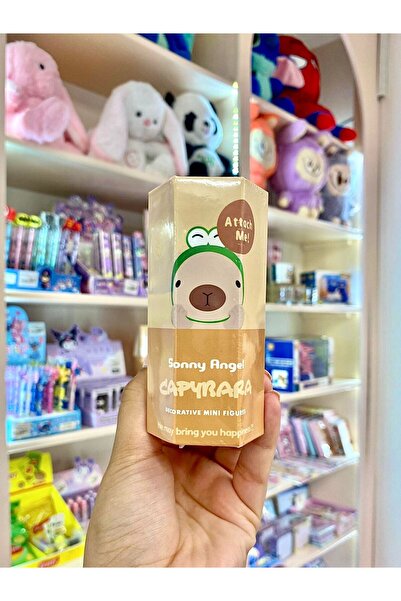 Wisevelya Sonny Angel Capybara Series