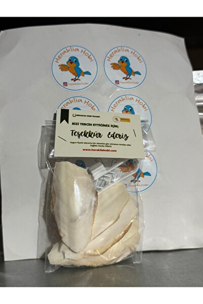 Heraklia Hobi 4 Adet Kalamar Sübye Kemiği 7/8 cm Tutacak Hediyeli