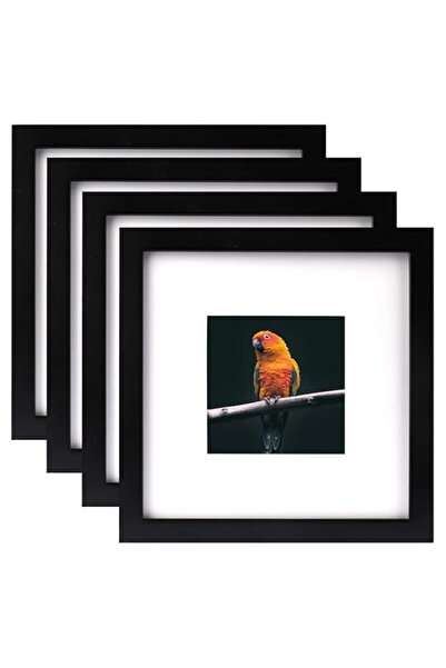 Generic Brand Black 10x10 Picture Frames Set of 4 Display Pictures 5x5 with M...