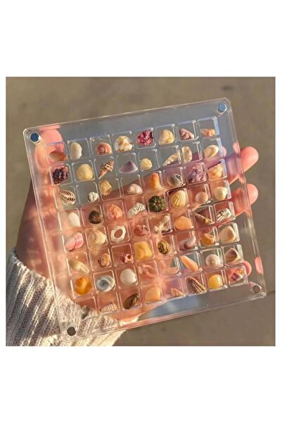 Generic Brand TaboSi Acrylic Magnetic Seashell Display Box, Acrylic Container...