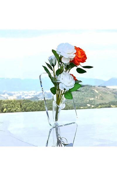 Generic Luxury Home Decor Clear Vase Acrylic Photo Frame Flower | Modern Aesthetic Art Deco | Decorative Ta