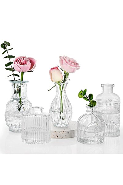 Generic مجموعة فيكسوال من 5 مزهريات براعم، مزهرية صغيرة للزهور، مزهرية زجاجية...