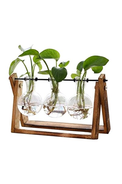 Generic حوض نباتات مع حامل خشبي - وعاء هوائي للزراعة على شكل لمبة زجاجية وحام...