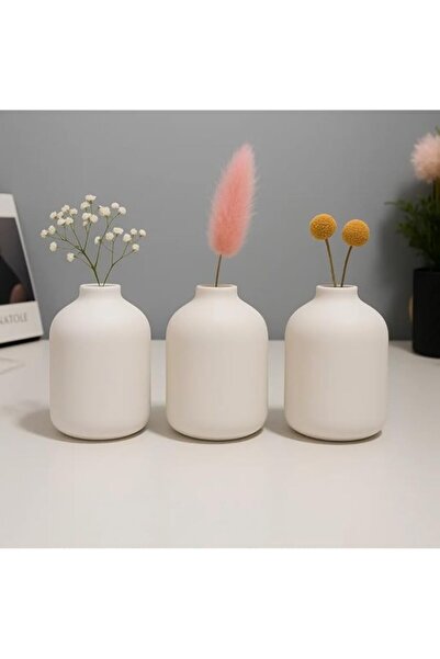 Generic مجموعة من ٣ مزهريات صغيرة بيضاء | مجموعة مزهريات سيراميك بيضاء غير لا...