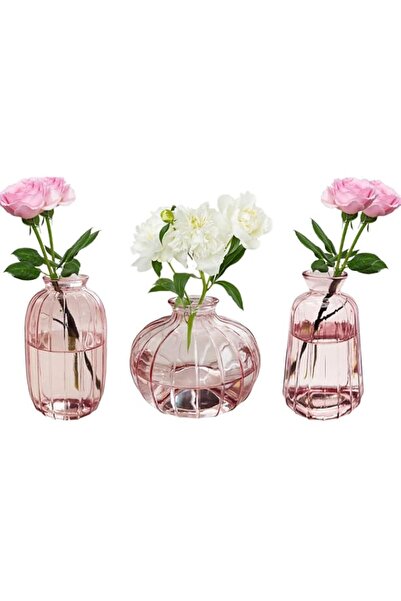 Generic مجموعة مزهريات KMERCE من 3 مزهريات زهور زجاجية صغيرة، وردية، مزهريات ...