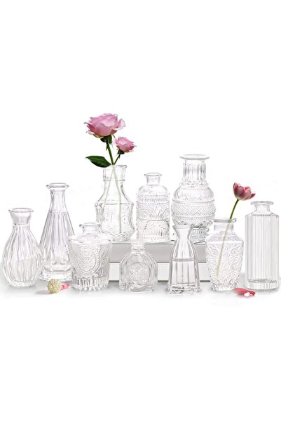 Generic مجموعة QLOFEI من 10 مزهريات زجاجية صغيرة للزهور كقطع مركزية - مزهريات...