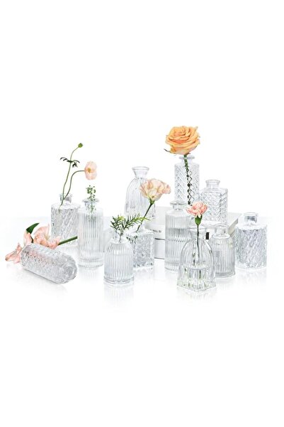 Generic مجموعة مزهريات زجاجية من كومساف، مكونة من 12 قطعة، مزهريات براعم شفاف...