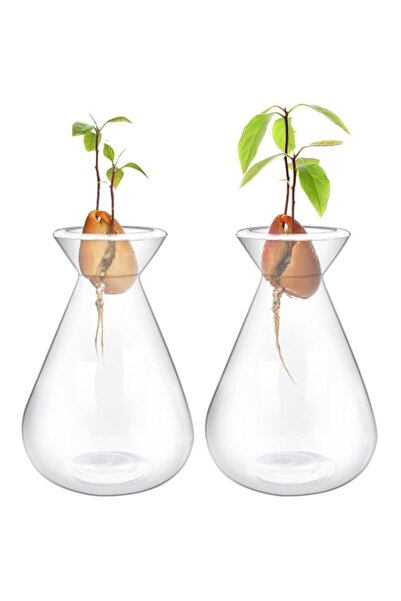 Generic مزهريات Emsiok لبدء زراعة بذور الأفوكادو، طقم زراعة شجرة الأفوكادو، م...