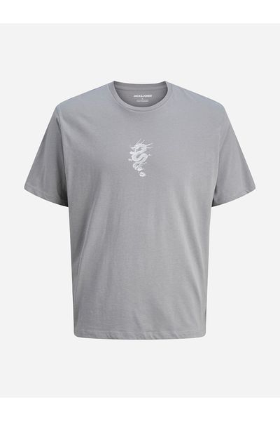 Jack & Jones JJMiko Dragon Print Crew Neck T-Shirt