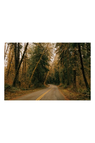 OEM Tablou Canvas, "Drumul serpuitor prin padurea deasa", 100 x 70 cm