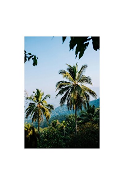 OEM Pictură pe pânză, „Palmieri sub cer albastru tropical”