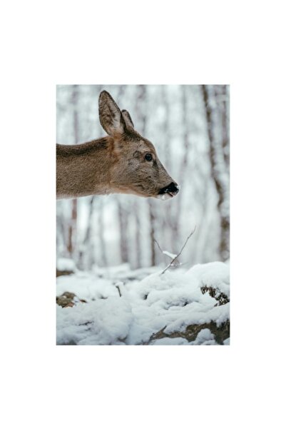 OEM Pictură pe pânză, „Cerb în pădure înzăpezită”, Peisaj natural de iarnă