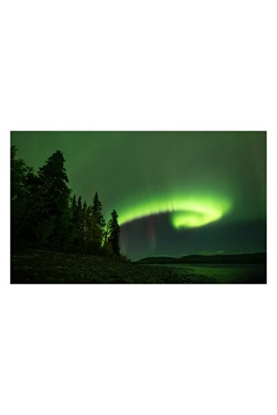 OEM Pictură pe pânză, „Aurora boreală deasupra pădurii misterioase”, luminos,...