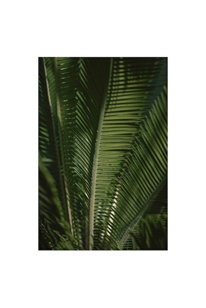 OEM Pictură pe pânză, „Frunzele verzi ale naturii misterioase”, Frunze, Verde...