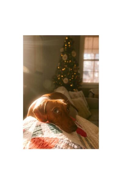 OEM Tablou Canvas, 'Lumina calda a sarbatorilor de iarna', Scanteietor, Craciun, Cald, Odihna, Luminos,