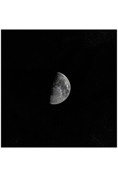 OEM Tablou Canvas Premium 'Luna Misterioasa'