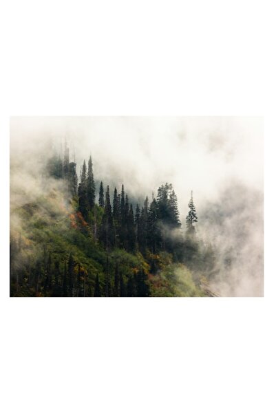 OEM Tablou Canvas, 'Misterul pădurii învăluite de ceață', ceată, pini, vegeta...