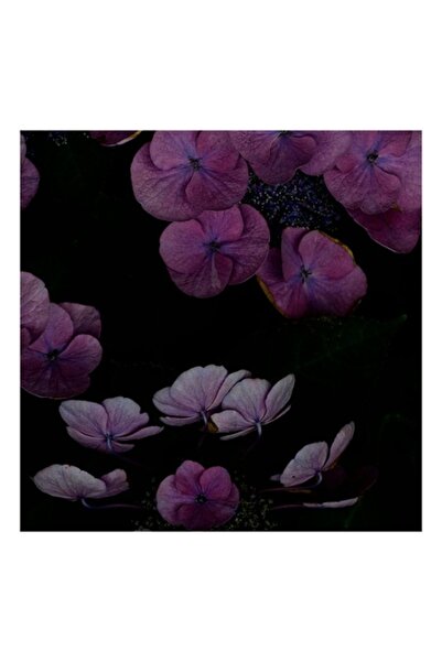 OEM Pictură pe pânză, „Misterul hortensiilor în noaptea adâncă”, 50 x 90 cm