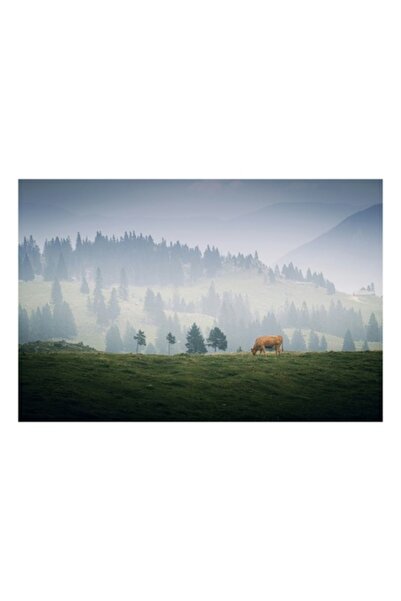 OEM Tablou Canvas, 'Vacuta solitara pe campul de munte'