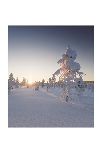 OEM Pictură pe pânză, „Răsărit de soare de iarnă în pădurea înzăpezită”, 50 x...