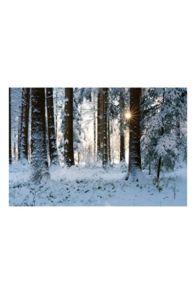 OEM Tablou Canvas, „Soarele strălucind prin pini înzăpeziți”, Zăpadă, Pădure, Raze de soare, Pini, Lumină, Iarnă,
