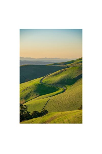 OEM Pictură pe pânză, „Drumul șerpuitor prin dealuri verzi”, 50 x 70 cm