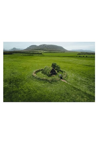 OEM Pictură pe pânză, „Cabană singuratică în natură verde”