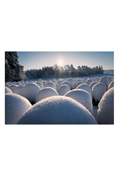 OEM Pictură pe pânză, „Bule de zăpadă sub soarele de iarnă”, alb, peisaj de i...