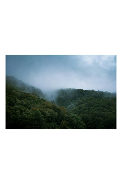 OEM Pictură pe pânză - „Pădurea învăluită în ceață”, 100 x 70cm