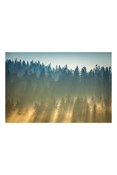 OEM Pictură pe pânză, „Răsărit de soare prin pădurea densă”, Pădure, Ceață, R...