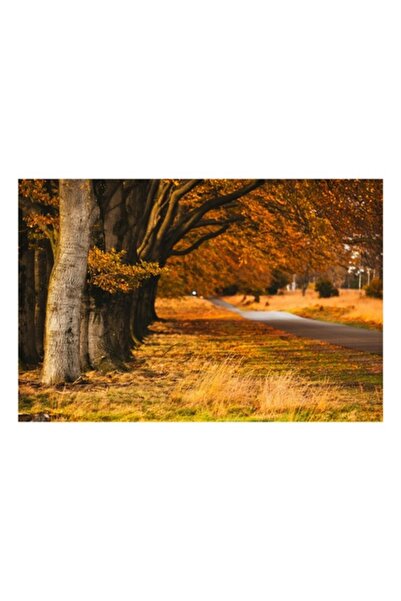OEM Tableau Canvas Premium - Peisaj Autumnal