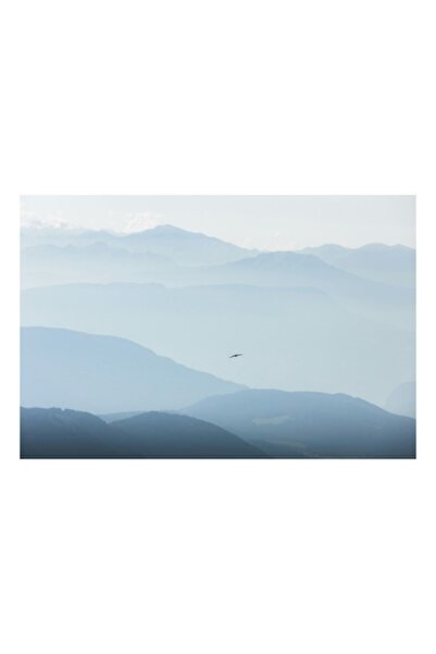 OEM Pictură pe pânză, „Pasăre în zbor peste Munții Albaștri”, Peisaj încețoșat, 50 x 50 cm