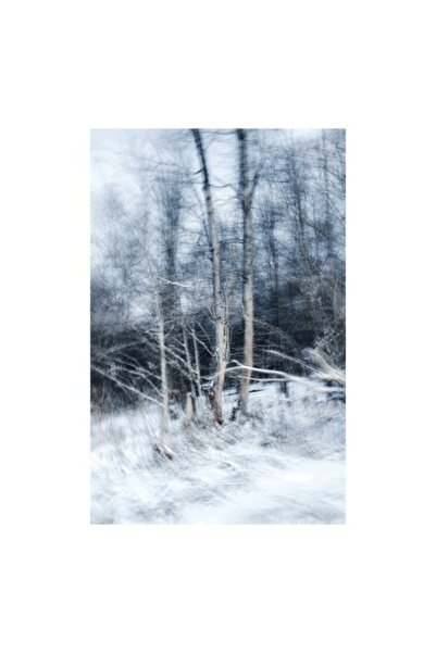 OEM Pictură pe pânză, „Vis de iarnă în pădurea albastră”, Copaci, Zăpadă, Cea...